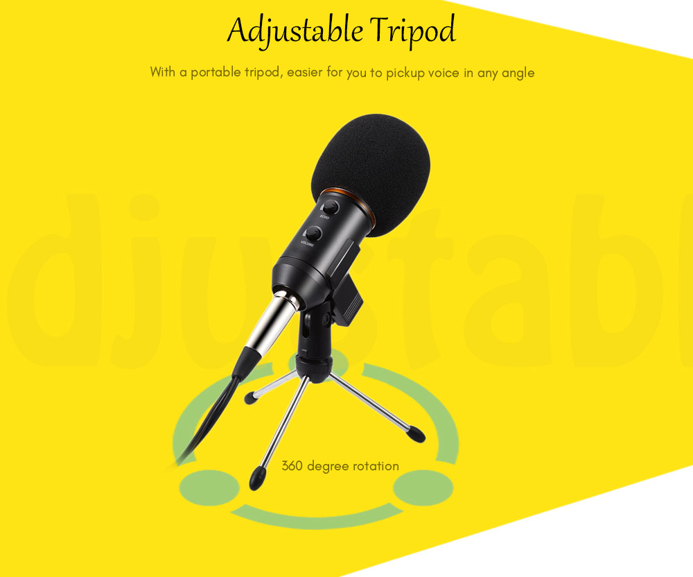BM - 300FX Audio Sound Recording Condenser Microphone with Foldable Tripod